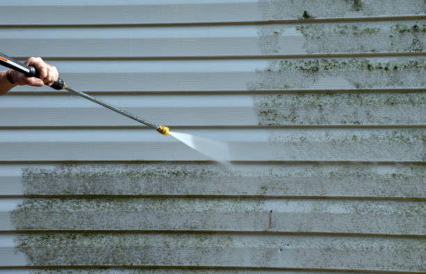 Best Attic Mold Removal  in Baldwinsville, NY