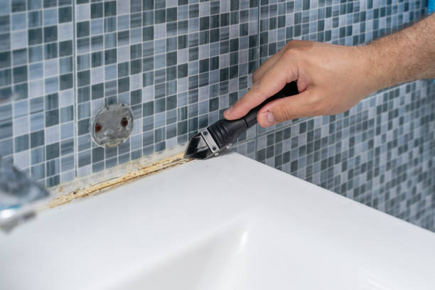 Best Fast Mold Removal  in Baldwinsville, NY