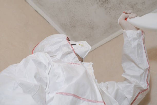 Best Mold Inspection  in Baldwinsville, NY